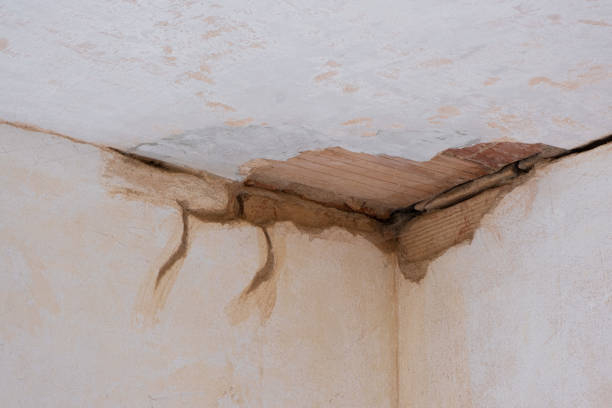 Best 24-hour water damage restoration  in Doa Ana, NM