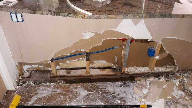 Best Carpet water damage restoration  in Doa Ana, NM