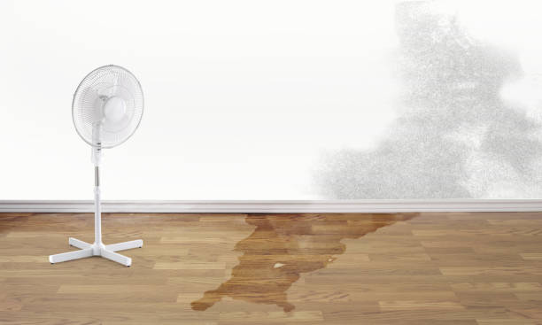Best Water damage restoration mold remediation  in Doa Ana, NM