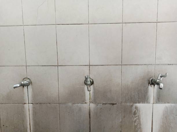 Best Emergency water extraction  in Doa Ana, NM