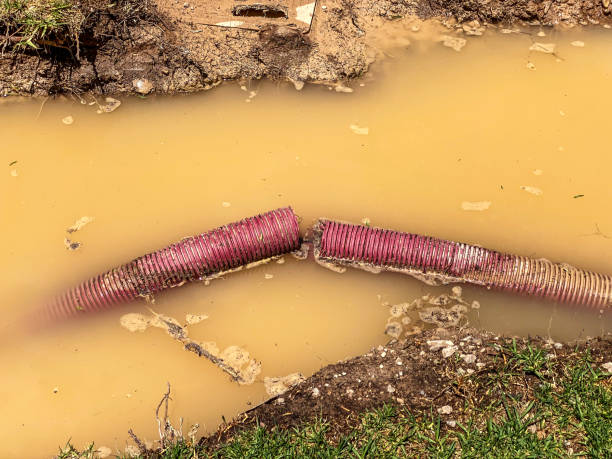 Best Sewage cleanup and water damage restoration  in Doa Ana, NM