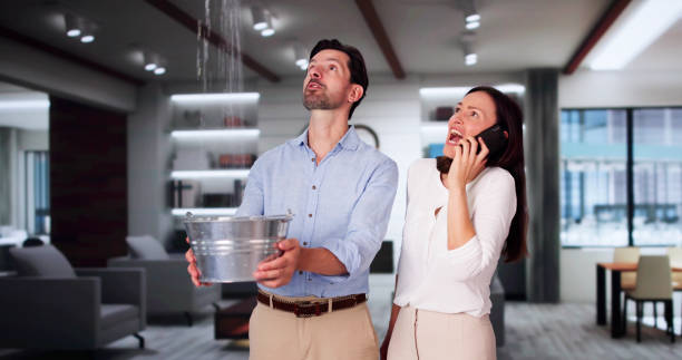 Best Ceiling water damage repair  in Doa Ana, NM